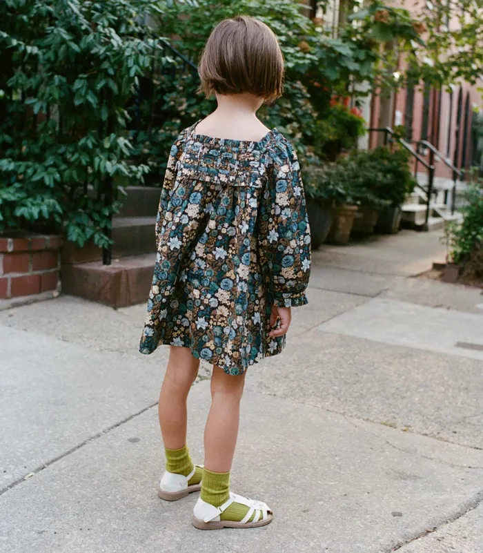 DEN Dresses Women Little Acton Dress Bleu Arbor Floral