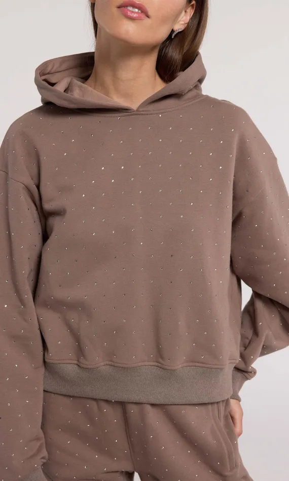 Generation Love Clothing Sweaters and Sweatshirts Renae Crystal Hoodie Truffletruffle 8211 Women