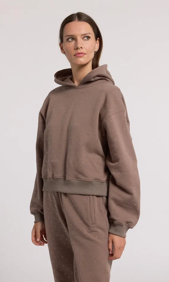 Generation Love Clothing Sweaters and Sweatshirts Renae Crystal Hoodie Truffletruffle 8211 Women