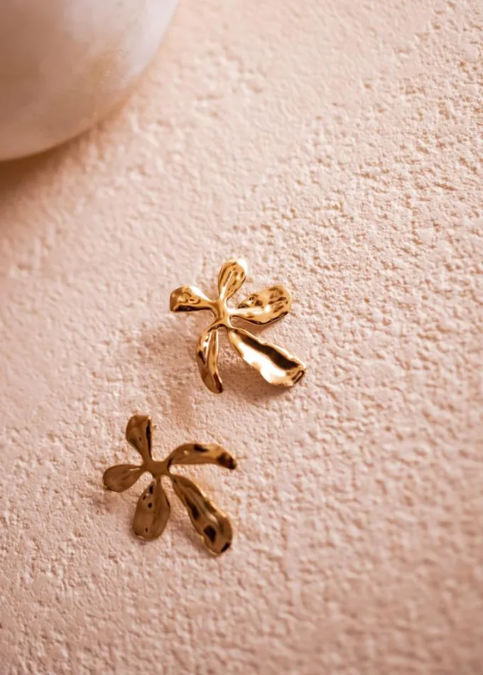 Jewelry and Accessories Earrings Easy Clothes Golden Donie Earrings Jewelry and Accessories Earrings Easy Clothes Golden Donie Earrings