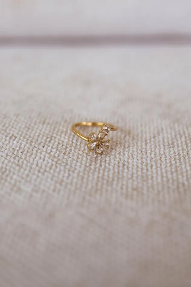 Jewelry and Accessories Rings Easy Clothes Golden Rilla Ring Jewelry and Accessories Rings Easy Clothes Golden Rilla Ring