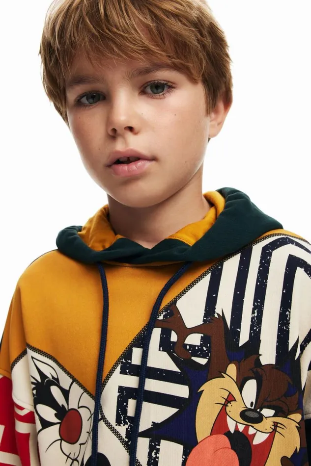 Kids Jumpers And Sweatshirts Desigual Looney Tunes Hoodie