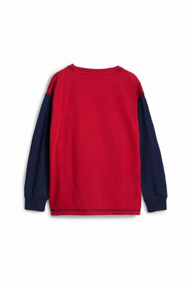 Kids Tshirts And Shirts Desigual Tricolor Basketball Tshirt