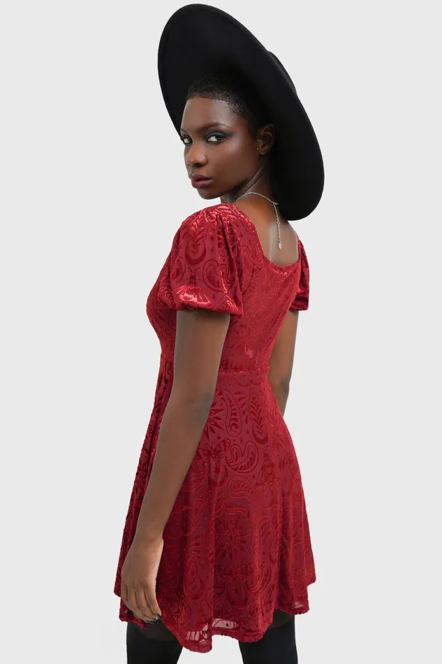 Killstar Mini Women Lepidoptera Skater Dress
