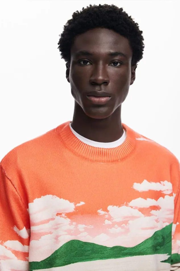 Men Jumpers And Sweatshirts Desigual Landscape Sweater