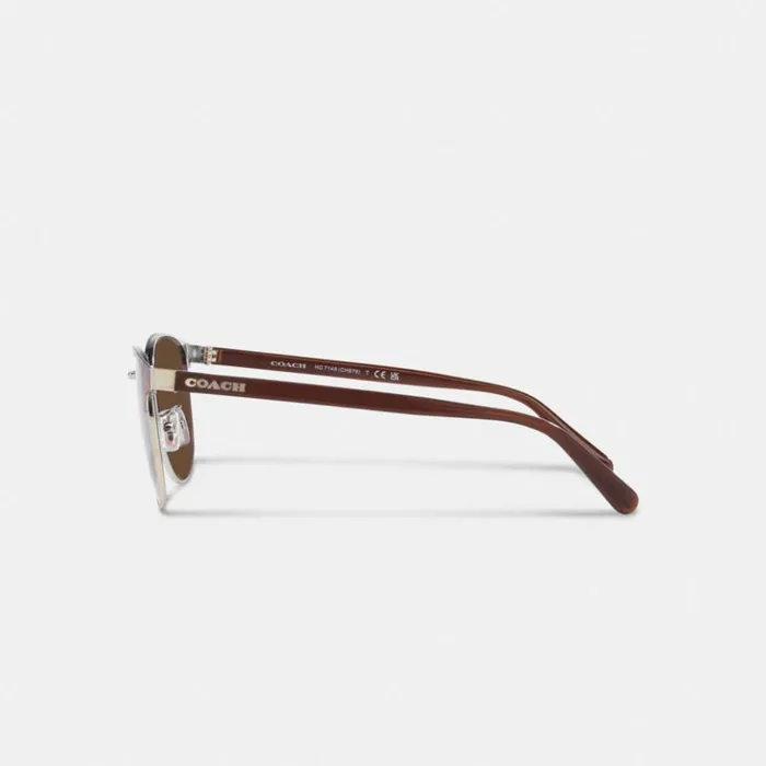 Men Retro Sunglasses Dark Tortoise Coach Sunglasses