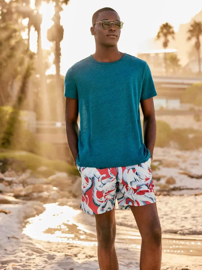 Short Sleeve TShirts Men Derek Rose TShirt Jordan Linen Teal