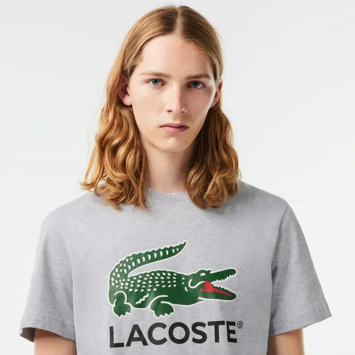 TShirts Men Lacoste Men039s Cotton Jersey Signature Print TShirt Grey Chine Cca