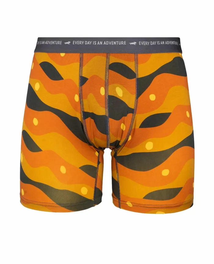 ToadandCo Underwear and Accessories Men039s Boxer Brief Scenic Print 8211 Men039s