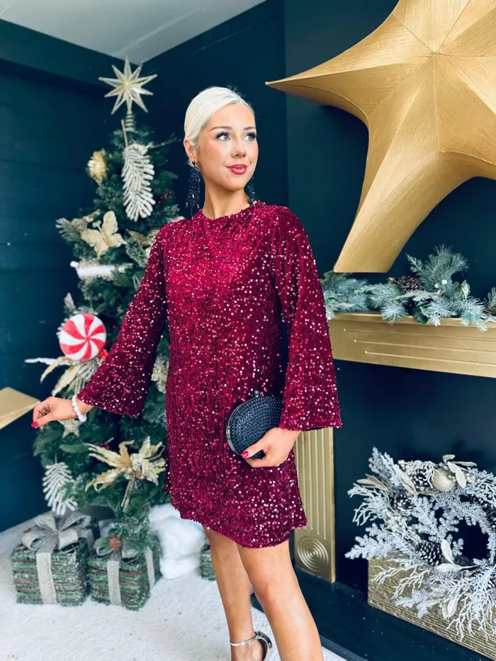 Women Day Dress Canella Lane Doris Bow Detail Sequin Mini Dress Burgundy