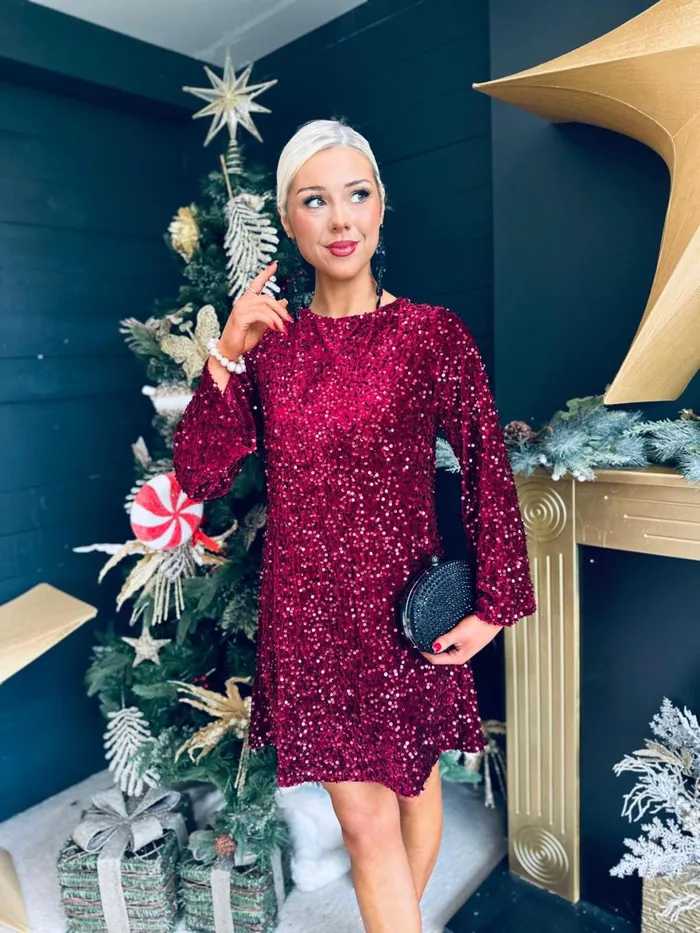 Women Day Dress Canella Lane Doris Bow Detail Sequin Mini Dress Burgundy