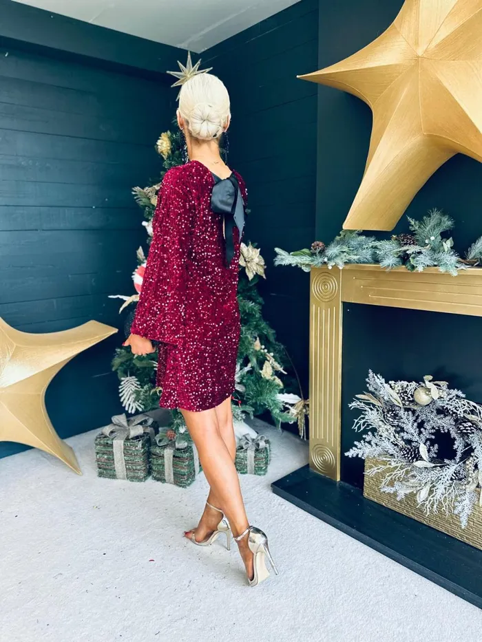 Women Day Dress Canella Lane Doris Bow Detail Sequin Mini Dress Burgundy