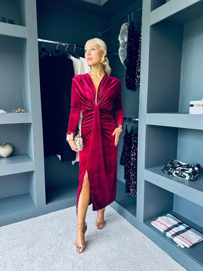 Women Day Dress Canella Lane Kelly Velvet Drape Detail Dress Wine