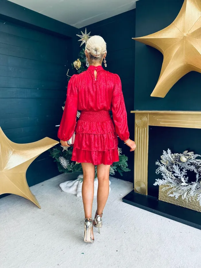 Women Day Dress Canella Lane Naomi Metallic Mini Dress Red