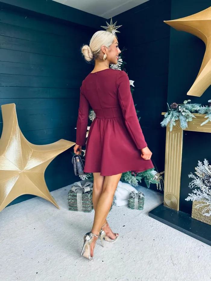 Women Evening Dress Canella Lane Monica Detailed Mini Dress Wine