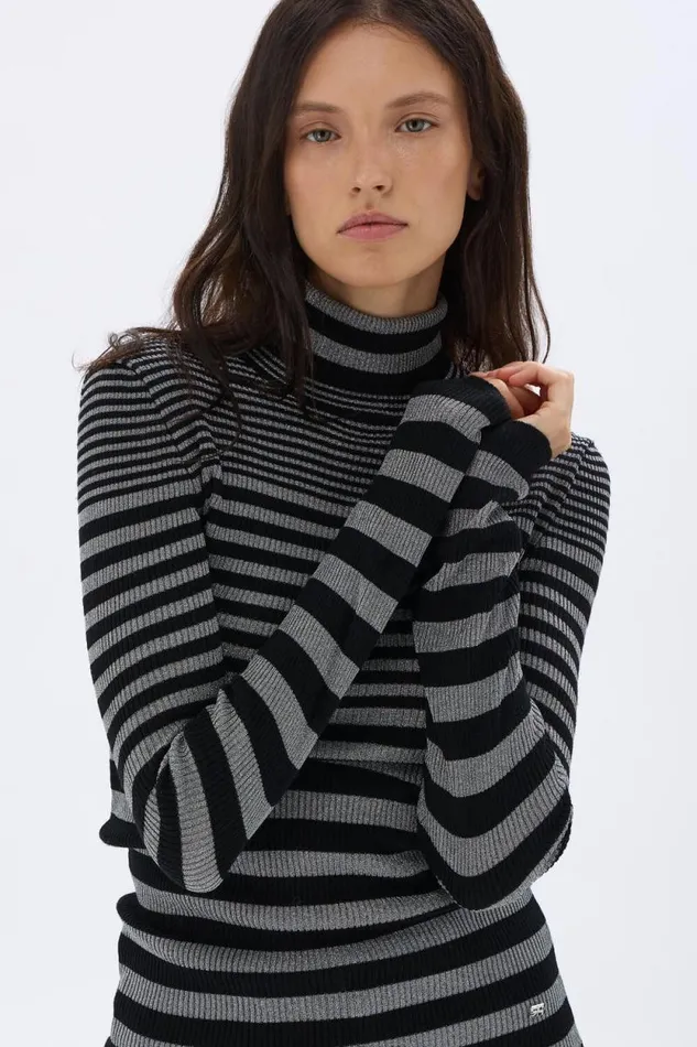 Women Striped Turtleneck Sweater In Wool And Lurex Blacksilver Multi Sonia Rykiel Sweaters