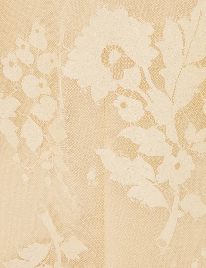 Women Zimmermann Clothing Illustration Lace Blouse Light Tea