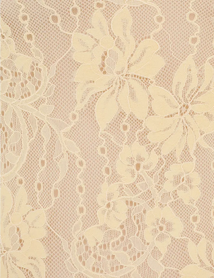 Women Zimmermann Tops Lace Bodysuit Tea
